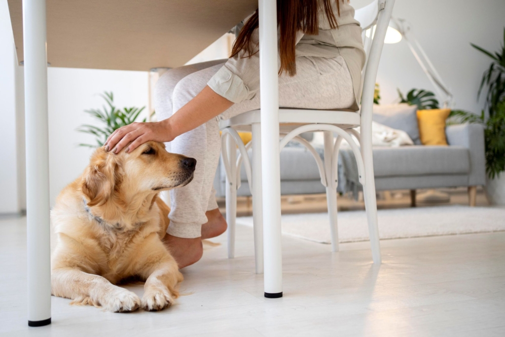Una Casa Pet Friendly – Consigli